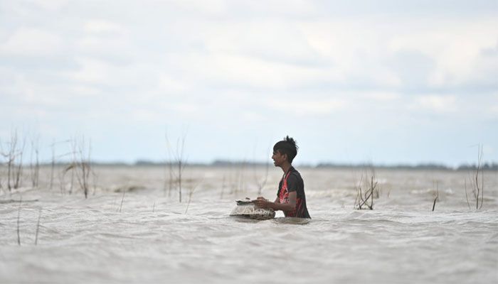 চায়না দুয়ারী জালে মাছ শিকার