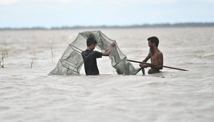 চায়না দুয়ারী জালে মাছ শিকার