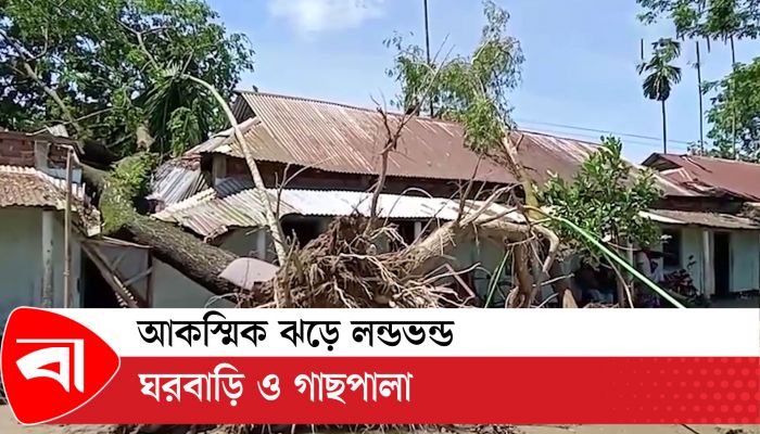আকস্মিক ঝড়ে লন্ডভন্ড ঘরবাড়ি ও গাছপালা 