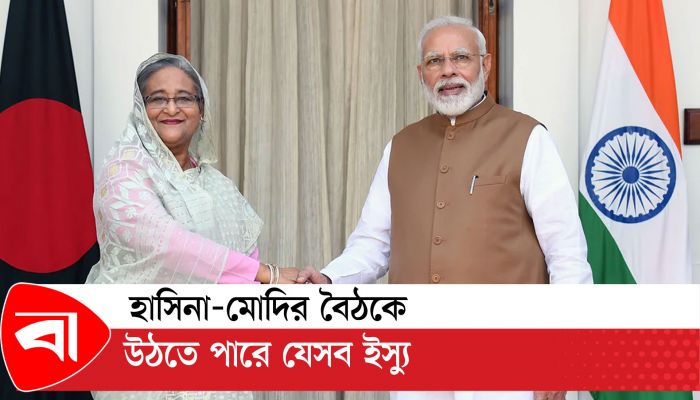 শেখ হাসিনার সঙ্গে মোদির বৈঠক কী নিয়ে?