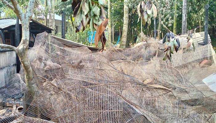 চিতলমারীতে আগুনে পুড়ল ৪ হাজার পাখি