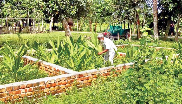 আশ্বাসে ঘর ভেঙে মানবেতর জীবনযাপন মুক্তিযোদ্ধাদের 