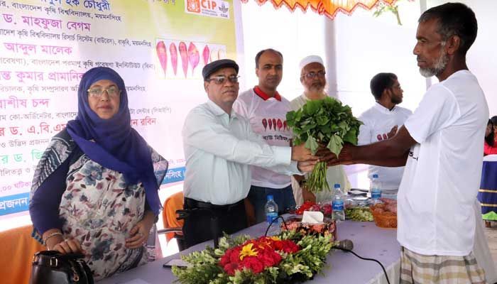 ভাতের বিকল্প হিসেবে মিষ্টি আলু খাওয়ার পরামর্শ যে কারণে 