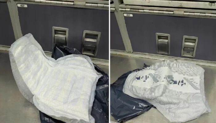 ডায়াপার আতঙ্কে উড়োজাহাজের জরুরি অবতরণ