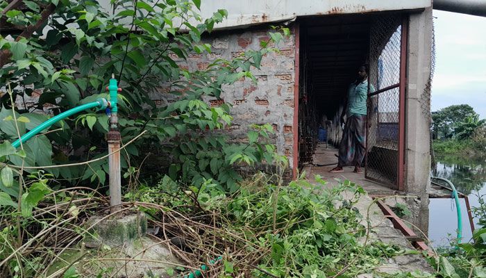 খামার থেকে জ্বালানি ও জৈব সারের জোগান