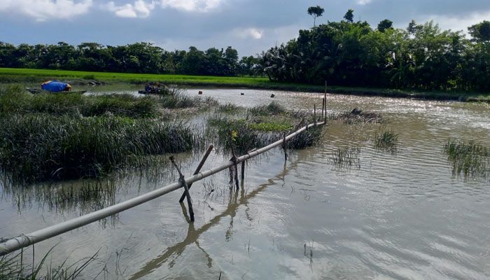 এমপির নির্দেশনাও মানছেন না অবৈধ বালু ব্যবসায়ীরা