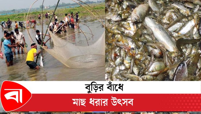 বুড়ির বাঁধে মাছ ধরার উৎসব