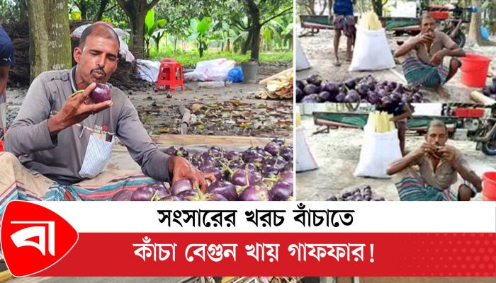বেগুনখাদক আবদুল গাফফার!