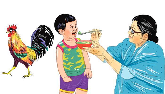 দিদিভাই ও  বুদ্ধিমান মোরগ