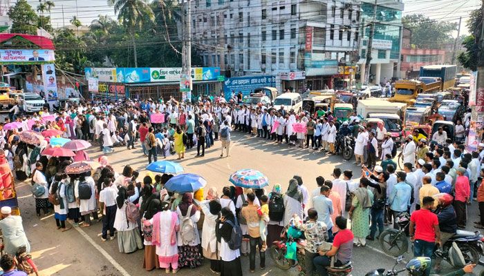 মেডিকেল শিক্ষার্থীর প্রাণ গেল ট্রাকচাপায়