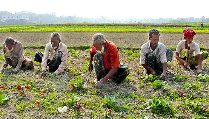 ২০ লাখ টাকা পর্যন্ত ঋণ পাবেন একজন কৃষক