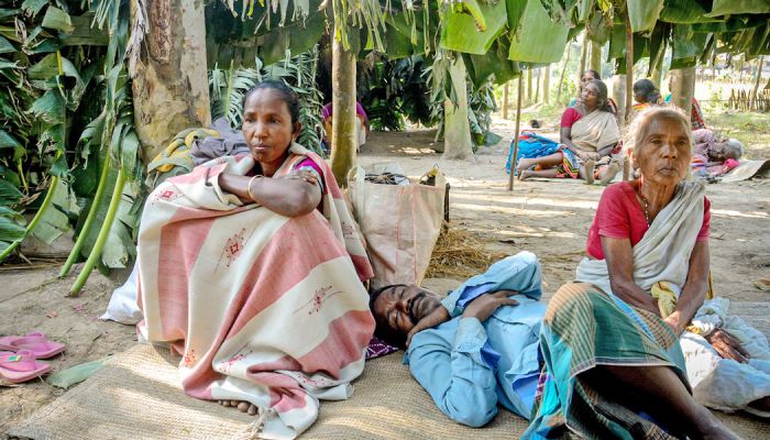 ঘর হারানো সাঁওতালদের দিন কাটে খোলা আকাশের নিচে ছবি: ফোকাস বাংলা
