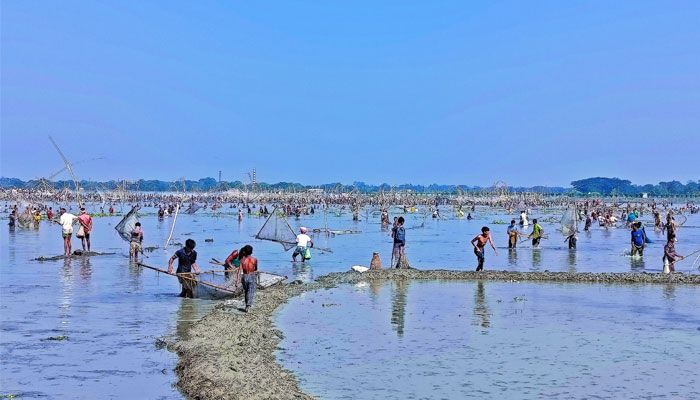 ত্রিশালের ঐতিহ্যবাহী পলো বাওয়া উৎসব