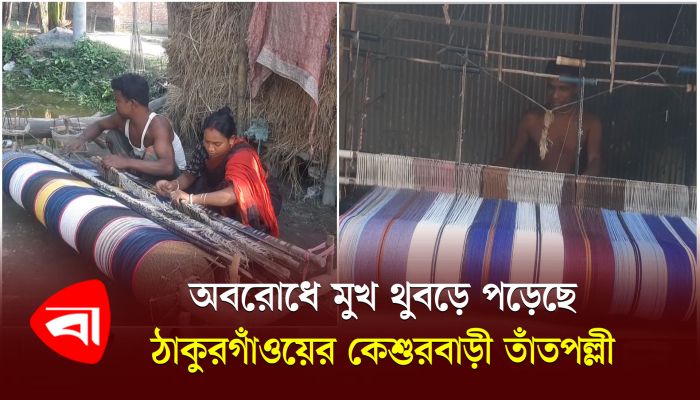 অবরোধে মুখ থুবড়ে পড়েছে ঠাকুরগাঁওয়ের কেশুরবাড়ী তাঁতপল্লী 
