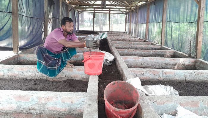 বাড়ির আঙিনায় নিজের প্ল্যান্টে কেঁচোসার উৎপাদনের কাজে খাইরুল ইসলাম। প্রবা ফটো