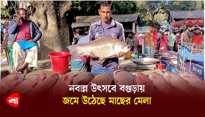 নবান্ন উৎসবে বগুড়ায় জমে উঠেছে মাছের মেলা