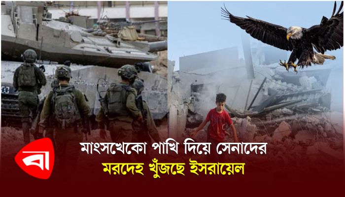 মাংসখেকো পাখি দিয়ে সেনাদের মরদেহ খুঁজছে ইসরায়েল