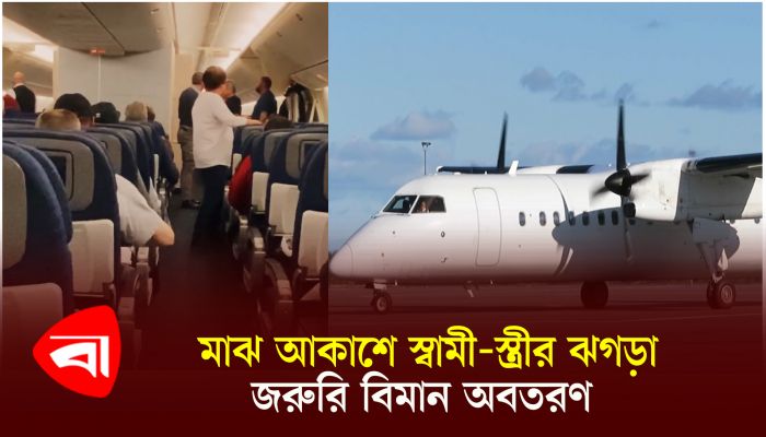 মাঝ আকাশে স্বামী-স্ত্রীর ঝগড়া, জরুরি বিমান অবতরণ