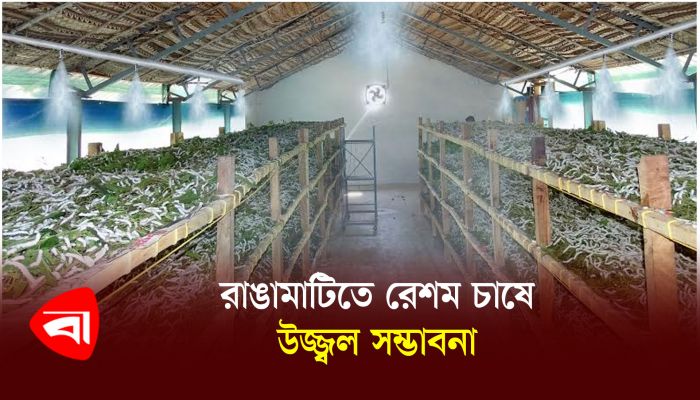 রাঙামাটিতে রেশম চাষে উজ্জ্বল সম্ভাবনা