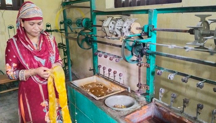 পাহাড়ে রেশম চাষে সুবাতাস