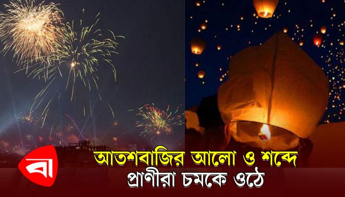 থার্টি ফার্স্টে আতশবাজি ও ফানুস বন্ধের দাবি