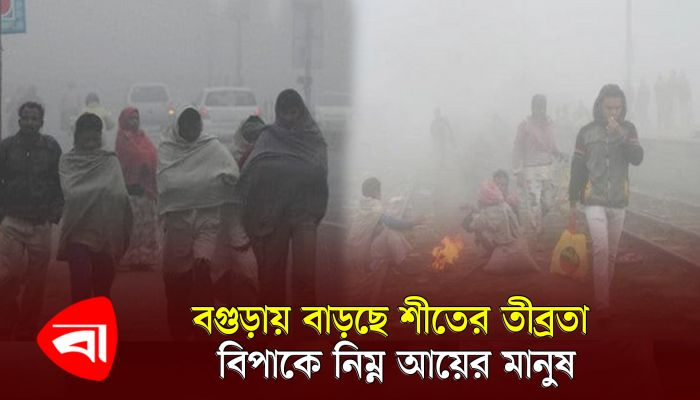 বগুড়ায় বাড়ছে শীতের তীব্রতা, বিপাকে নিম্ন আয়ের মানুষ 