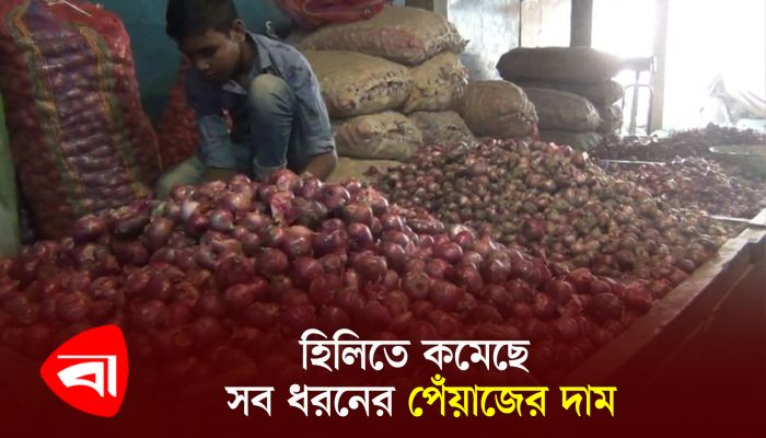 এক দিনের ব্যবধানে হিলিতে কমেছে পেঁয়াজের দাম 