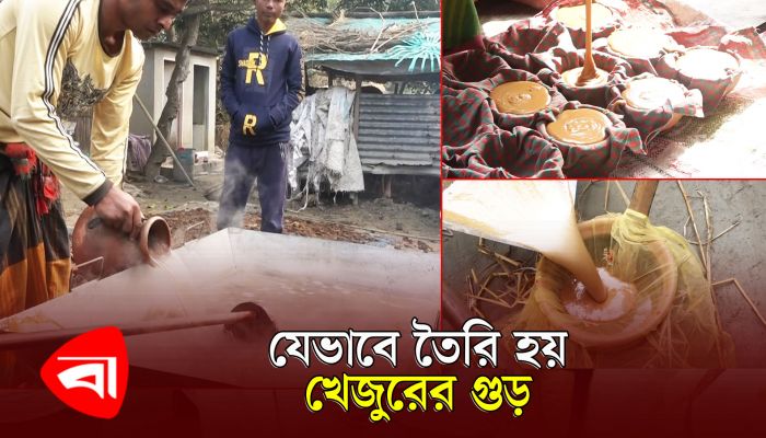 যেভাবে তৈরি হয় বাঙালির ঐতিহ্য খেজুরের গুড় 