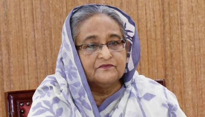 জাতীয় অধ্যাপক আব্দুল মালিকের মৃত্যুতে প্রধানমন্ত্রীর শোক