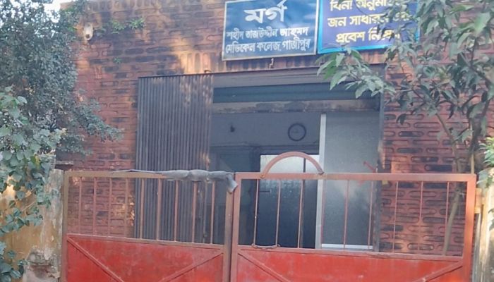 গৃহবধূকে হত্যা করে মাটিচাপা, ১১দিন পর স্বামীর আত্মসমর্পণ