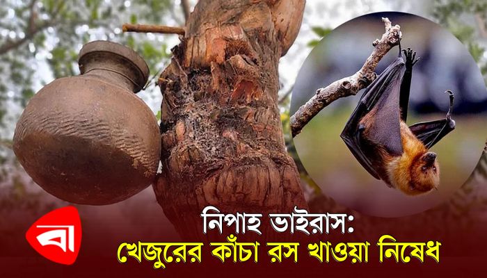 নিপাহ ভাইরাস : খেজুরের কাঁচা রস খাওয়া নিষেধ