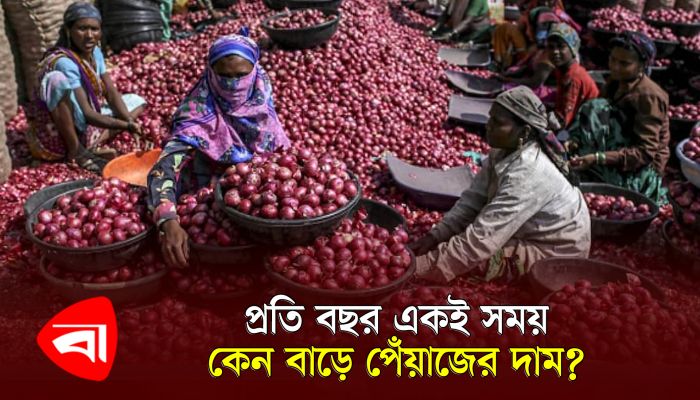 প্রতি বছর একই সময় কেন বাড়ে পেঁয়াজের দাম?
