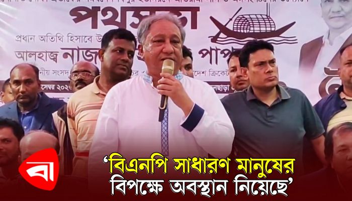 বিএনপি সাধারণ মানুষের বিপক্ষে অবস্থান নিয়েছে : পাপন 