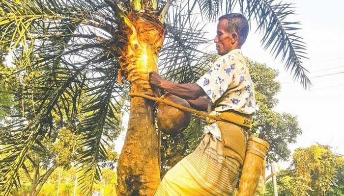 বোচাপুকুর এখন উৎসবমুখর