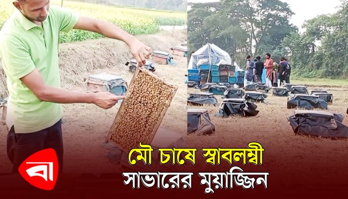 সোনার হরিণের পেছনে না ছুটে মৌমাছিতে স্বাবলম্বী মুয়াজ্জিন