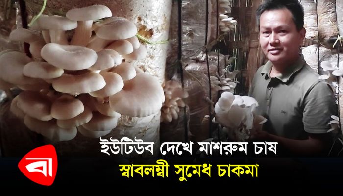 ইউটিউব দেখে মাশরুম চাষ, স্বাবলম্বী সুমেধ চাকমা