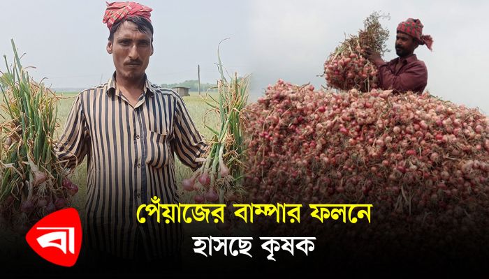 ধামরাইয়ে পেঁয়াজের দাম নিম্নগামী