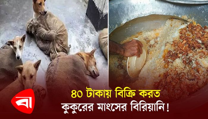 ৪০ টাকায় বিক্রি করত কুকুরের মাংসের বিরিয়ানি! 
