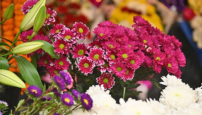 শীতে সরগরম ফুলের বাজার