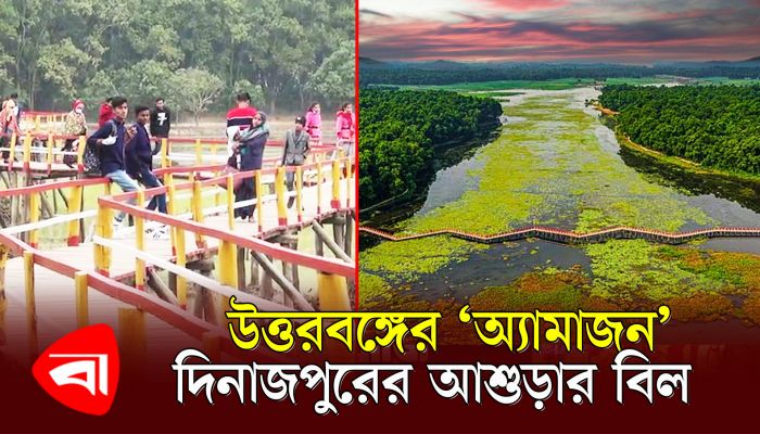 উত্তরবঙ্গের ‘অ্যামাজন’ দিনাজপুরের আশুড়ার বিল 