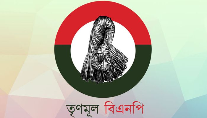তৃণমূল বিএনপি, বিএনএম, সুপ্রিম পার্টির ভরাডুবি