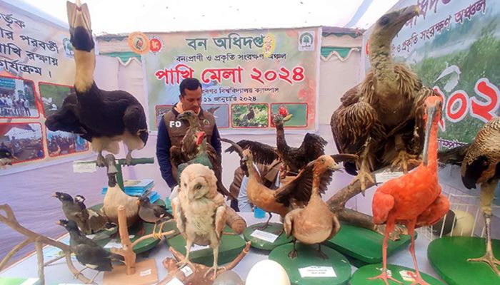 পাখি দেশের রত্ন
