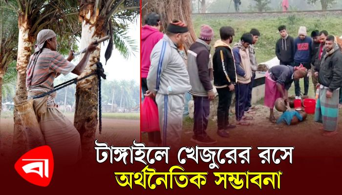 টাঙ্গাইলে খেজুরের রসে অর্থনৈতিক সম্ভাবনা