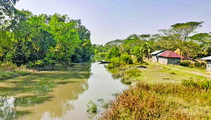 তারের বেড়া ও খনন না হওয়ায় লোকালয়ে যাচ্ছে বন্যপ্রাণী