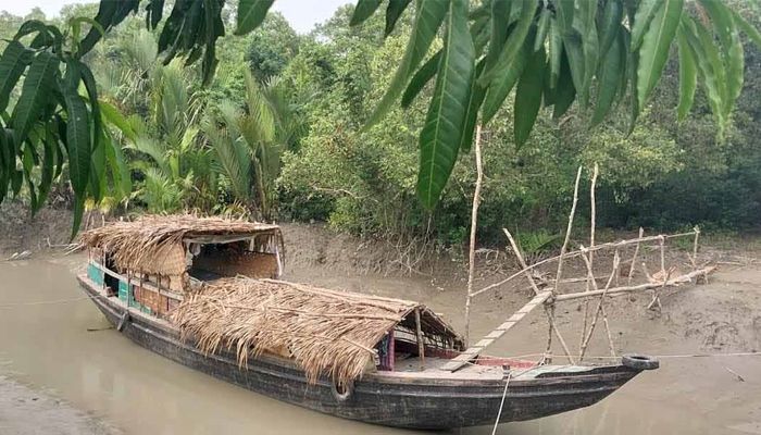 গোলপাতা আহরণে ছুটছেন বাওয়ালিরা