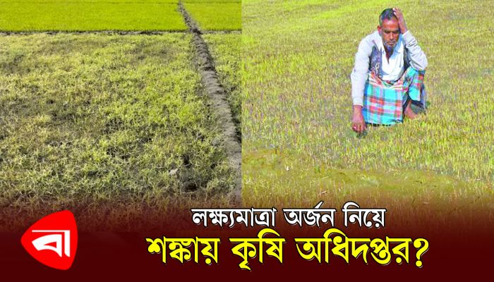 ধানের বীজতলা নিয়ে শঙ্কায় কৃষক 