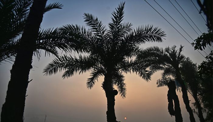শীতের সকালে কলাতিয়া গ্রামে