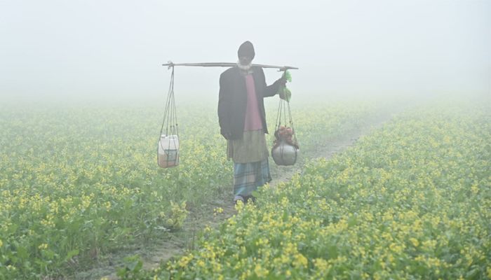 শীতের সকালে কলাতিয়া গ্রামে