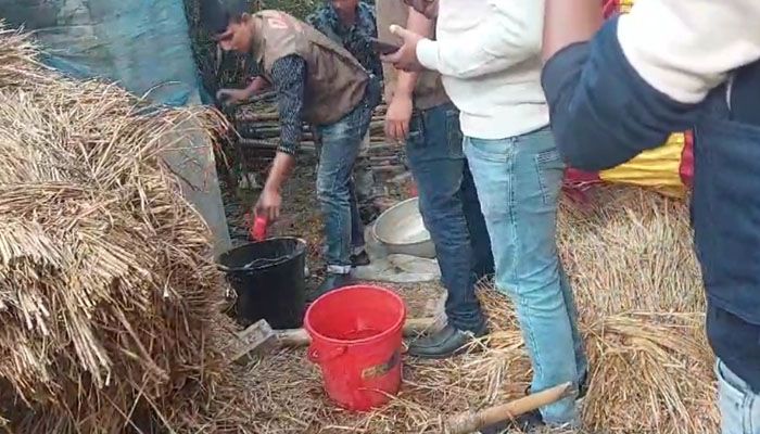 বেনাপোলে খড়ের গাদায় মিলল ১০টি ককটেল