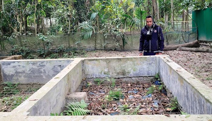 চুরি ঠেকাতে কবরের ওপর লোহার গ্রিল!